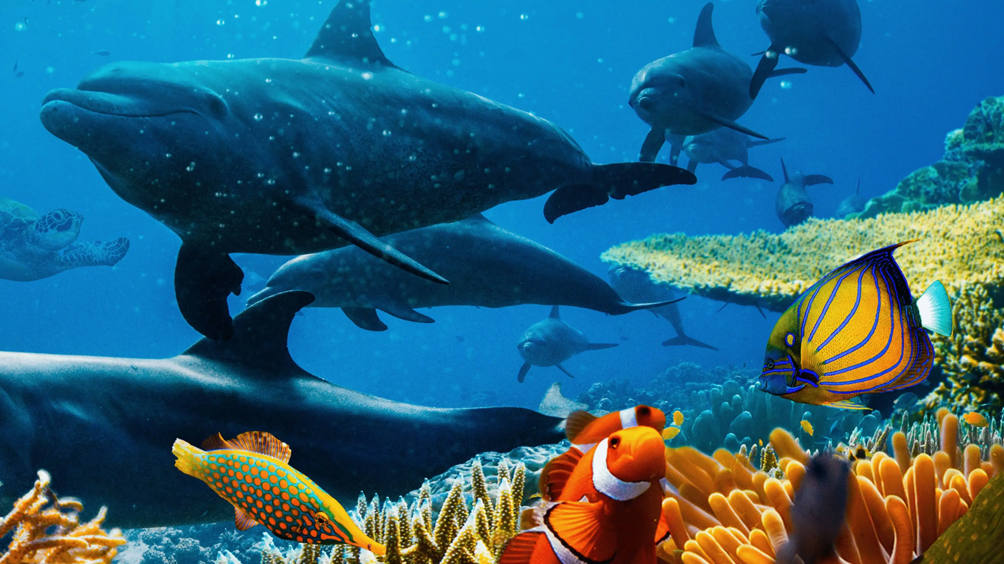 اقیانوس با دیوید آتنبرو